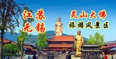 黄片jj江苏无锡灵山大佛旅游风景区